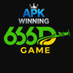 666D Game