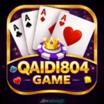 Qaidi804 Game