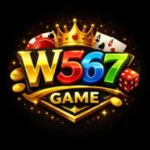W567 Game