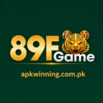 89 f Game