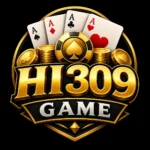 hi 309 game