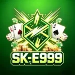 sk e999 game