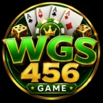 WGS 456 Game