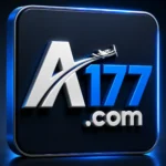 AT177 Game