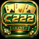 C222 Game