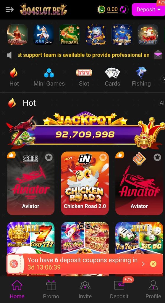 804Slot Game